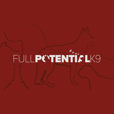 Full Potential K9 Inc 901 N Federal Hwy, Boca Raton, FL 33432